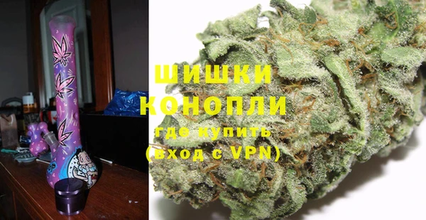 эйфоретик Майский