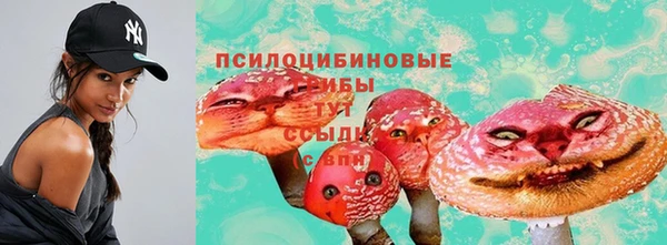 jwh Белокуриха