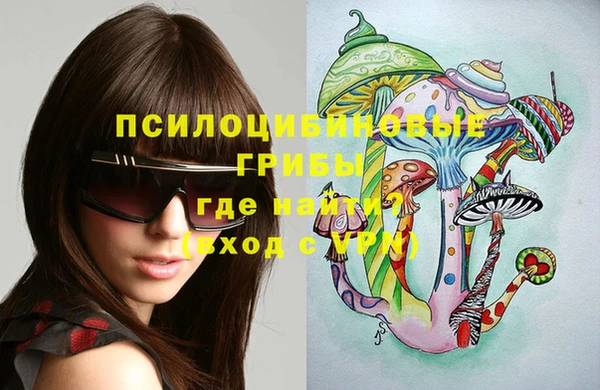эйфоретик Майский