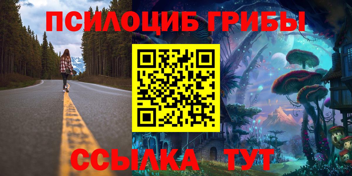 Галлюциногенные грибы GOLDEN TEACHER  Псилоцибиновые грибы Cubensis  Вход с VPN  Шадринск 