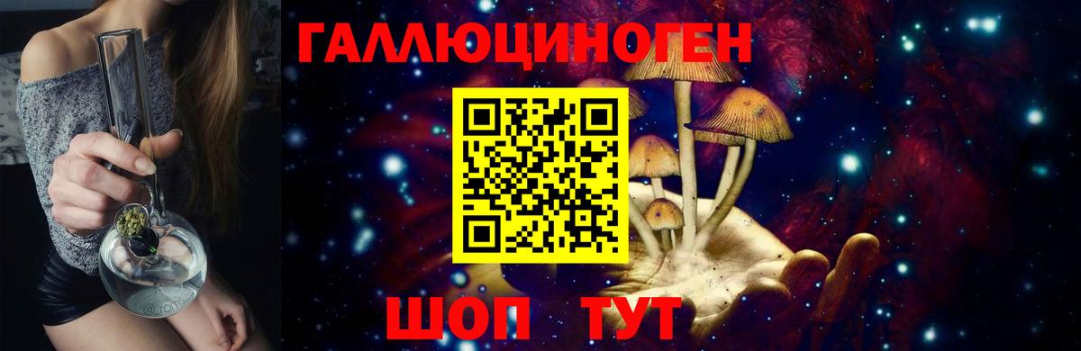 Галлюциногенные грибы Psilocybine cubensis Шадринск