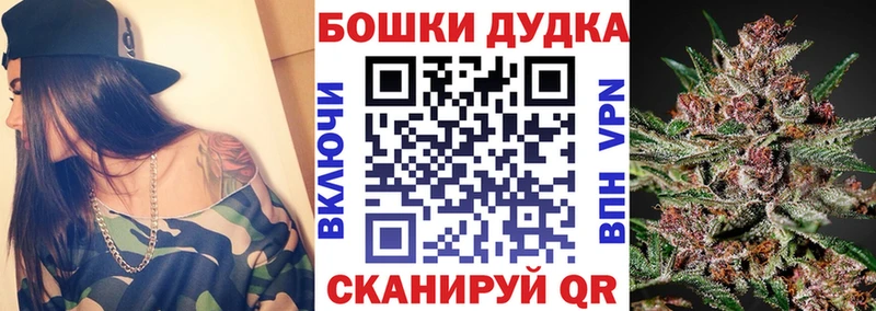Бошки Шишки Amnesia Шадринск